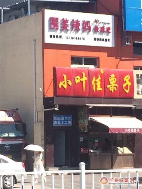小叶佳栗子加盟